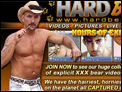 Hard Bears