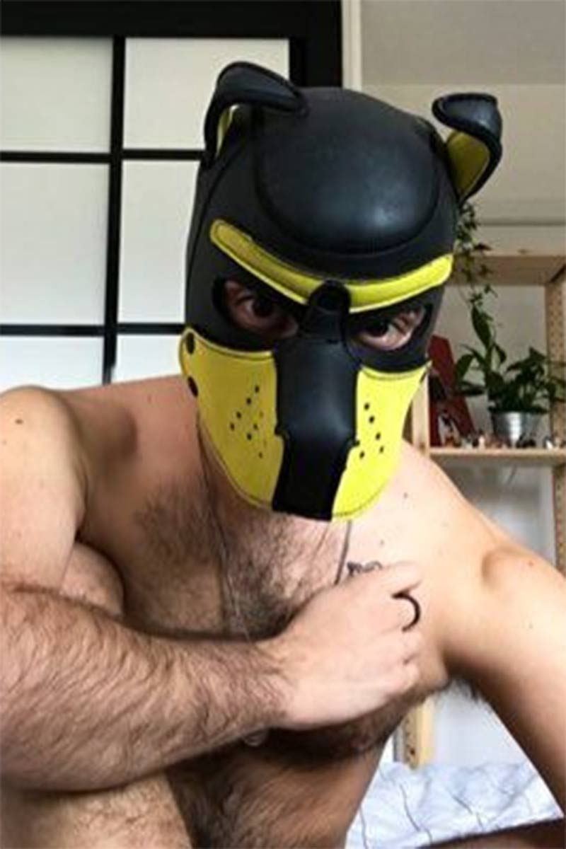 Pup Rain Porn Star Picture