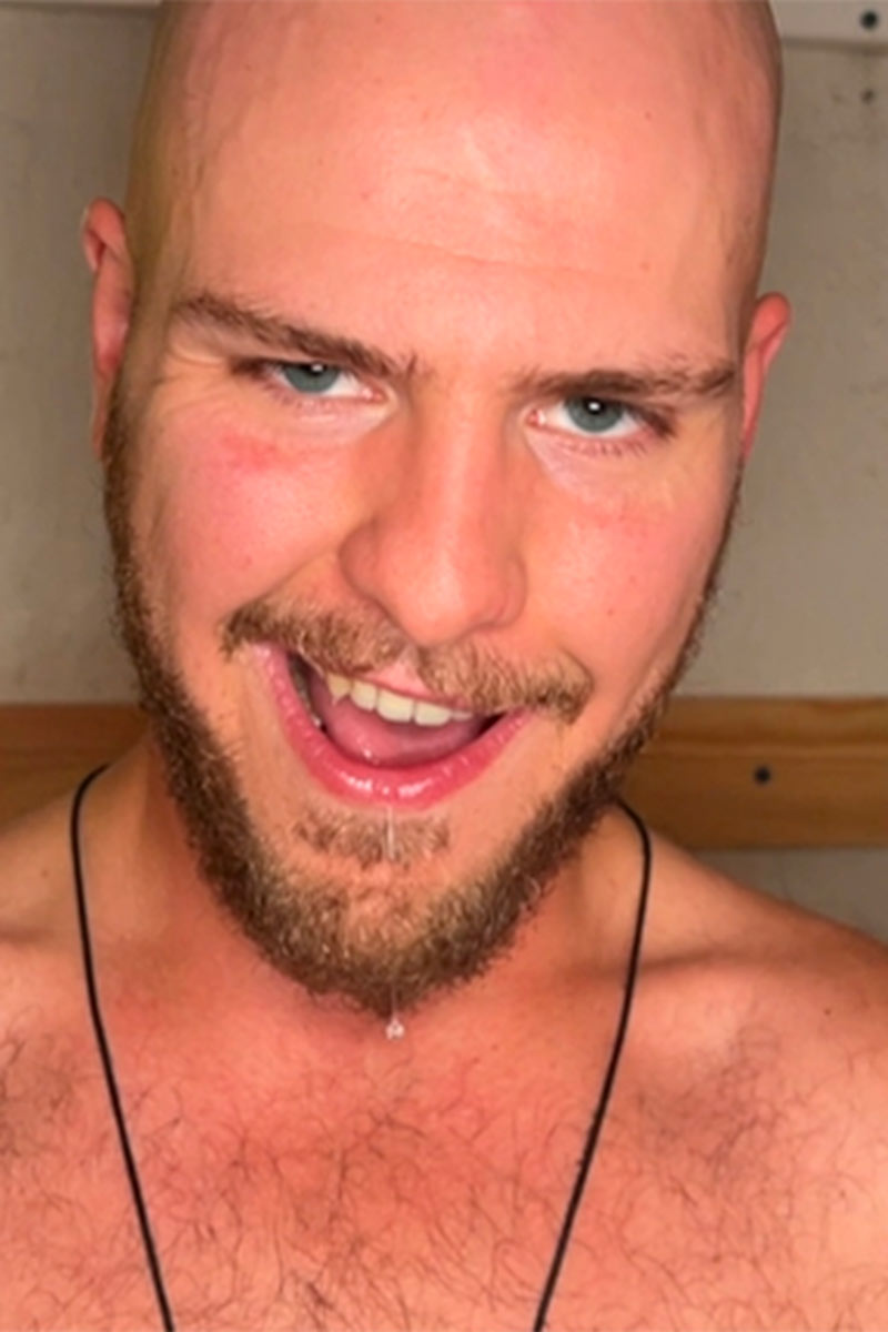 Oxalis Porn Star Picture