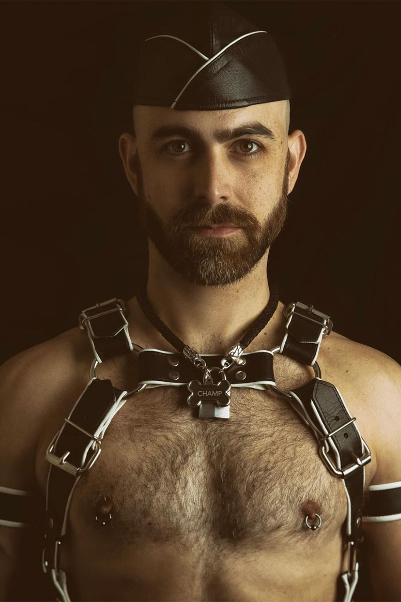 Champ The Leather Pup Porn Star Picture