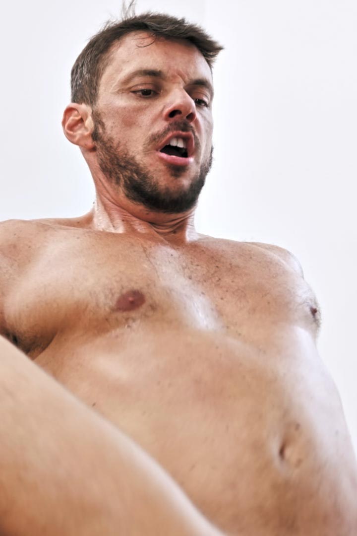 Gaucho (TT) Porn Star Picture