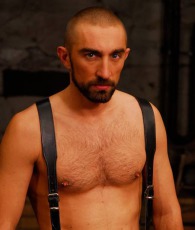 David Castan Porn Star Picture